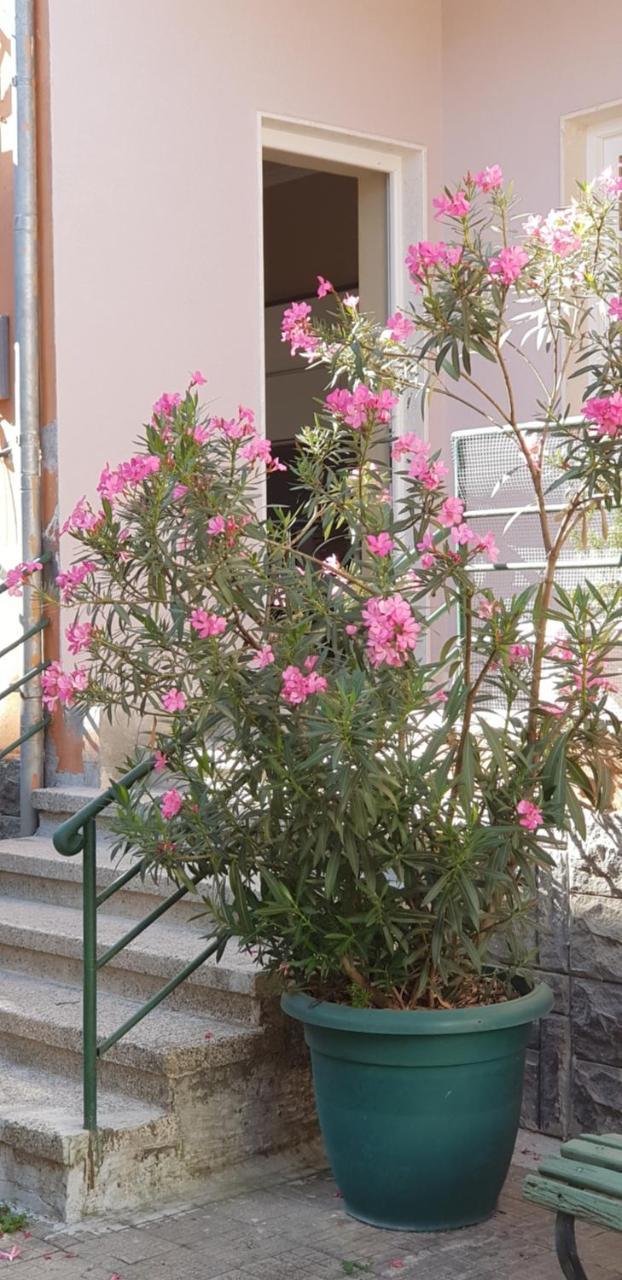 Bellesuite Tirana Extérieur photo